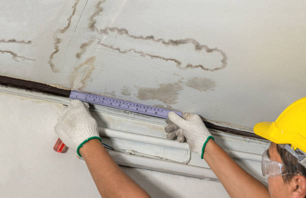 Reliable Water Damage Repair contractor in Hildale, UT by Hirex Water Damage
